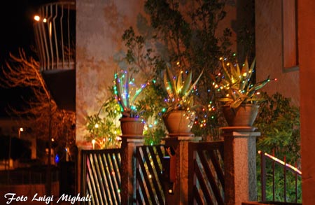 DSC09352