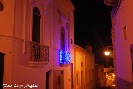 DSC09524