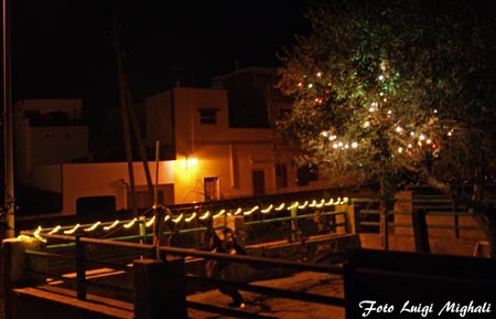 DSC09534