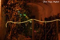 DSC09384