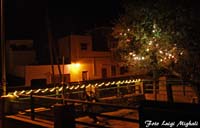 DSC09534