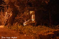 DSC09544