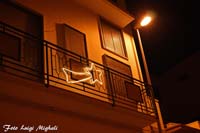 DSC09933